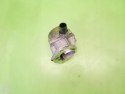 POMPA VACUM WAKUM RENAULT CLIO III PHI 1.5 DCI 05-