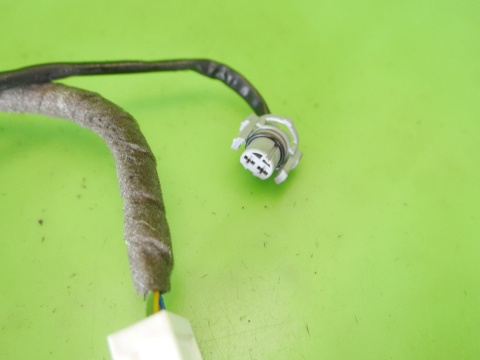 Wiązka instalacja drzwi lewa tył NISSAN QASHQAI I J10 06-09