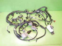 Wiązka instalacja silnika 95273301 CHEVROLET CAPTIVA I C140 FL 2.2 D 4x4