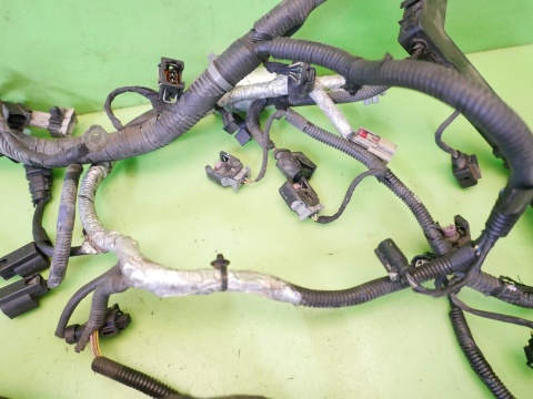 Wiązka instalacja silnika 95273301 CHEVROLET CAPTIVA I C140 FL 2.2 D 4x4