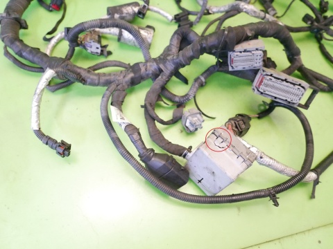 Wiązka instalacja silnika 95273301 CHEVROLET CAPTIVA I C140 FL 2.2 D 4x4