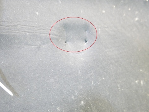 Wygłuszenie podbitka maski pokrywy silnika 5G0863831 VW GOLF VII 12-16