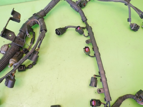 Wiązka instalacja silnika VW GOLF V 1K 1.4 16V BCA 75KM 55kW 03-09