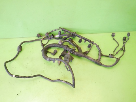 Wiązka instalacja silnika VW GOLF V 1K 1.4 16V BCA 75KM 55kW 03-09