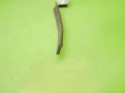 Antena GPS 259752753R B RENAULT KADJAR I 15-18