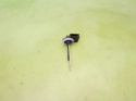Czujnik temperatury wewnętrznej 6Q0820539 VW FOX I 5Z1 1.2 6V