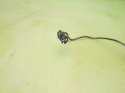 Filtr przeciwzakłóceniowy 8380945 BMW X5 E53 4.4 M62B44 99-03