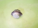 Poduszka silnika 6758428.01 BMW X5 E53 4.4 V8 M62B44 99-03