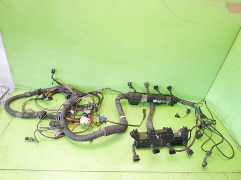 Wiązka instalacja silnika 1440316 1438903 BMW X5 E53 4.4 M62B44 99-03