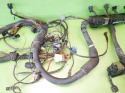 Wiązka instalacja silnika 1440316 1438903 BMW X5 E53 4.4 M62B44 99-03