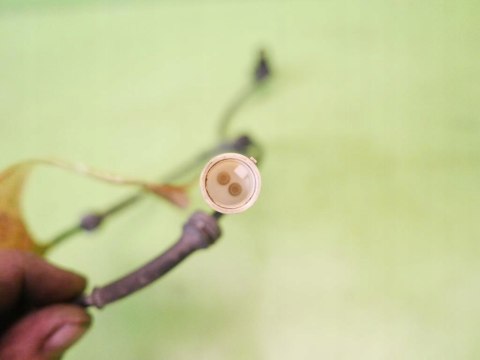 CZUJNIK ABS LEWY TYŁ RENAULT CLIO II PHIII 1.5 DCI