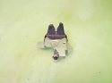 Zamek klapy tył bagażnika SUZUKI SX4 I GY RW SEDAN 06-09