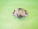 Zacisk hamulcowy prawy przód 280mm HONDA FRV FR-V I BE5 2.2 i-CTDI 04-07