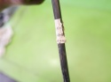 Rurka przewód sprzęgła wysprzęglika SUZUKI SWIFT EZ 1.3 16V 05-08