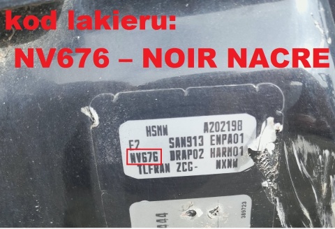 Zawias drzwiowy lewy przód dół NV676 DACIA DUSTER I HS 10-13