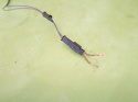 Lampka światło stop BMW E91 325d KOMBI 04-08
