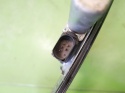 Mechanizm podnośnik szyby prawy tył 5pin 1060079 71.001.603 903.0222 BMW E91 325d 04-