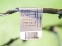 Wiązka instalacja drzwi lewa przód 6938214 BMW E91 325d 04-08