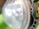Halogen przeciwmgłowy prawy MINI COOPER R56 06-10