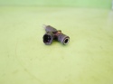 Wtrysk wtryskiwacz V752817680-07 MINI COOPER R56 1.6 06-10