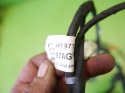 Wiązka instalacja drzwi tył lewa 4F1971693G 4F1971687AG AUDI A6 C6 AVANT