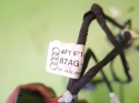 Wiązka instalacja drzwi tył prawa 4F1971693G 4F0971687E AUDI A6 C6 AVANT
