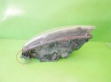 Reflektor lampa przód prawa Hella 4F0941004 AUDI A6 C6 2.0 TDI AVANT 08-11