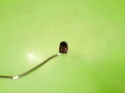 Czujnik temperatury spalin 03L906088AB AUDI A6 C6 2.0 TDI AVANT 08-11