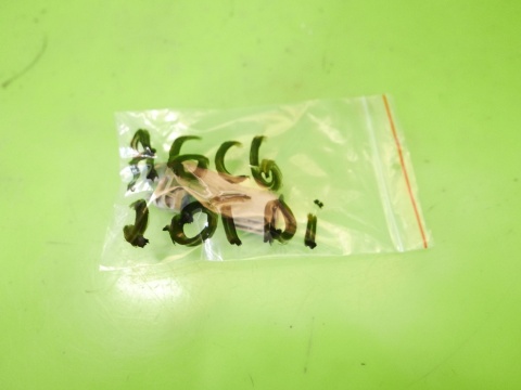 Czujnik położenia wału 036906433D AUDI A6 C6 FL 2.0 TDI 08-11