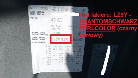 Drzwi tył prawe poszycie LZ9Y AUDI A6 C6 FL AVANT KOMBI 08-11