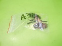 Dysze spryskiwaczy podgrzewane 8P0955988C 8P0955987C AUDI A3 8P HB 5D 04-08