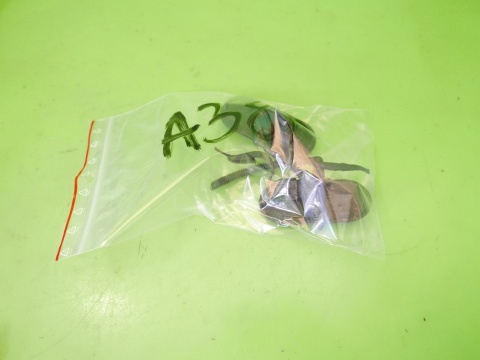 Dysze spryskiwaczy podgrzewane 8P0955988C 8P0955987C AUDI A3 8P HB 5D 04-08