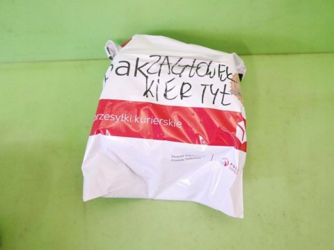 ZAGŁÓWEK LEWY TYŁ TYLNY PEUGEOT 206 HB 5D 98-03