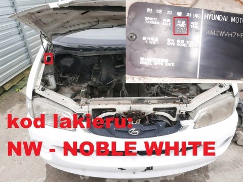 ZAWIAS DRZWI PRZÓD LEWY DÓŁ NW HYUNDAI H1 I 00-02