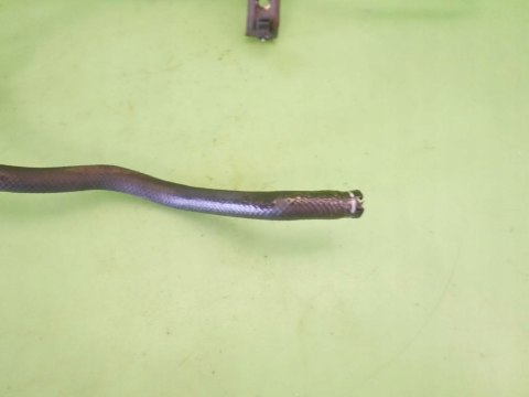 CHŁODNICZKA WSPOMAGANIA FIAT BRAVA I 1.4 12V 95-99